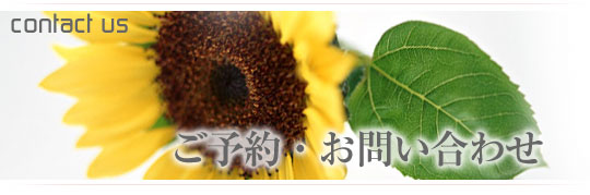 ���\��E���₢���킹�B������̌��N���k���C�y�ɂ����k�������B
