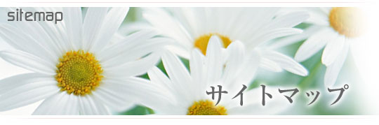 �T�C�g�}�b�v�B������̌��N���k���C�y�ɂ����k�������B